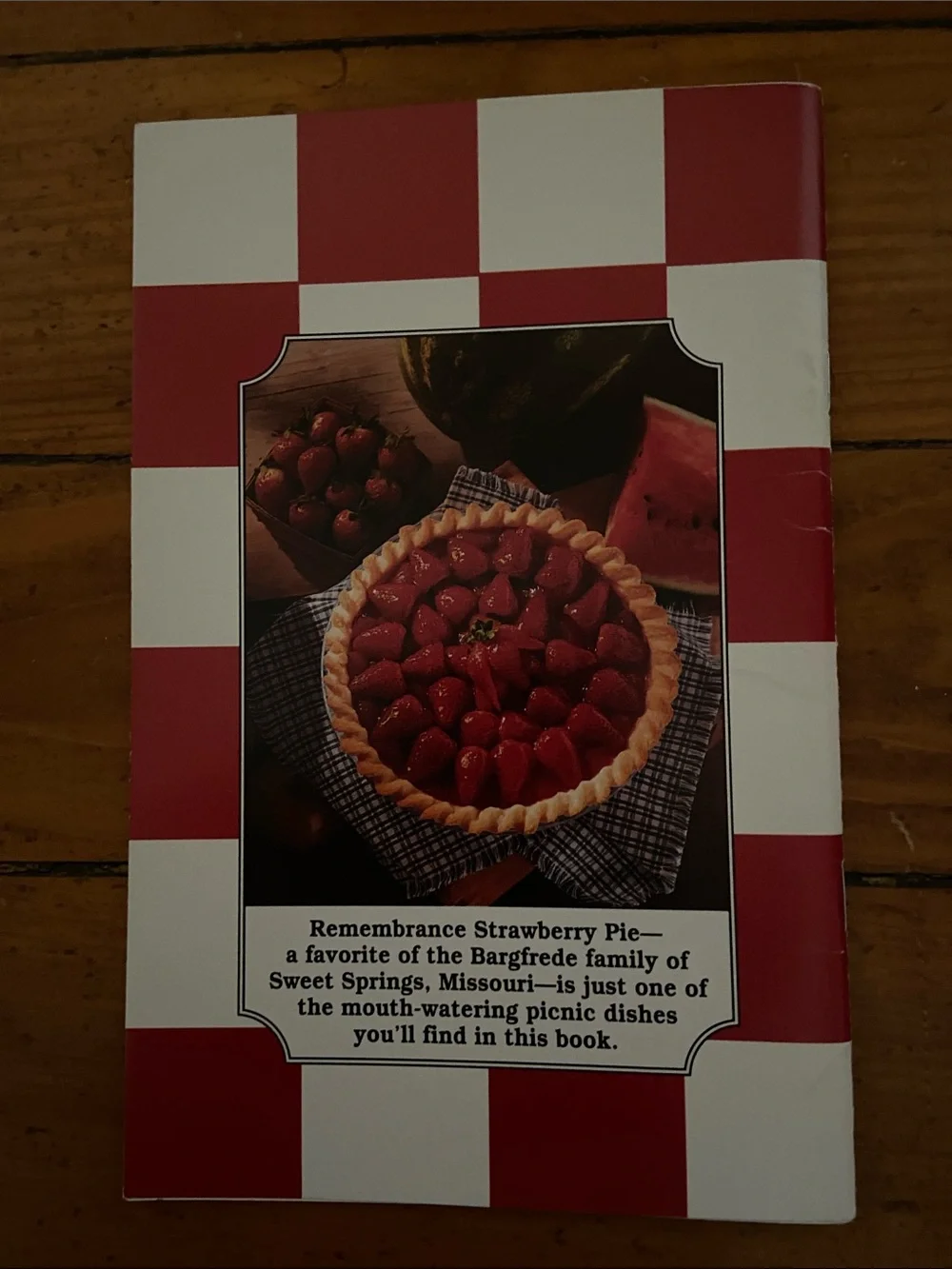 Vintage 90s 1990s Red Gingham checkered Picnic outdoor party cookbook recipes